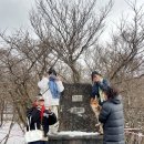우리들의월정리