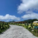 클라우드힐 이미지