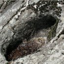 덕주농장 이미지