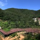 충북알프스자연휴양림 이미지