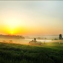 안성목장 이미지