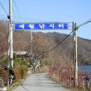 세월낚시터 이미지