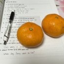 (주)쏘캔 네이버블로그