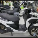 삼칠이PC 이미지