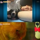 승훈농장 이미지