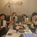 스테디독 이미지