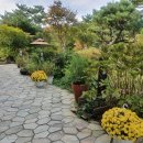 드까르멜릿 이미지