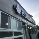 온니산오징어 이미지