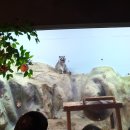 해든뷰 호스텔 이미지