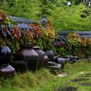 마음의 고향 이미지