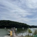 금터좌대보트