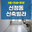 신서고등학교(정면, 영상고쪽) | 신정동신축빌라 전세 와 분양 전망좋은 쓰리룸!!