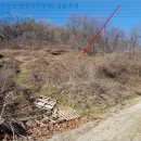 용진리 마을회관 이미지