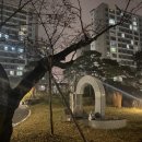 테크노제일공인중개사사무소 | 분양전환 시, 판교밸리 제일풍경채(성남고등) 84㎡약 11억4,200~12억7,100대 수준으로 책정되었습니다.&#34;