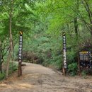 용인 산책길에 경기경제신문