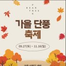 (9/16)오색 꽃송편 만들기 | 10월 가을 축제는 여기! 세종 베어트리파크 단풍 축제 후기
