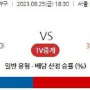 8월25일 국내야구 자료정보 이미지