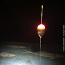 새만금 | 새만금 출조 후기 (26/02/28) <우럭>