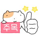 전문안경 이미지
