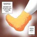 부경상사 | 2026년 상반기 간호조무사 자격증 부산 CBT 시험 합격 후기 / 벼락치기 공부 과정 기록