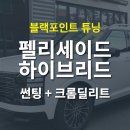 [2025 펠리세이드 하이브리드] 강남 썬팅 + 크롬딜리트 시공 후기 (화이트차량 블랙포인트 튜닝)