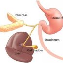 린동물병원 이미지