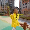 노랑병아리 이미지