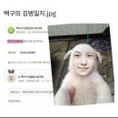 나는 여기 살아