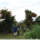 병근 농장 이미지