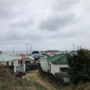 슬로우리제주민박 이미지