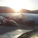 신월농장 이미지