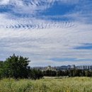 상상농장 이미지