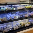 모찌의 하루 서면본점 이미지