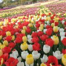 THE채움공인중개사사무소 이미지