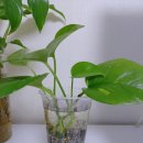 (유)수경 이미지