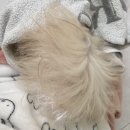 신시로16길1-21 이미지