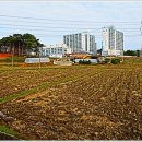 영광농협주유소 이미지