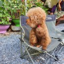 샘골산장 이미지