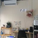 다시, 봄 네일