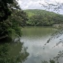 산청칼국수 이미지