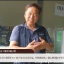 크린피아 네이버블로그