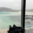 그랜드다방 | 2월 제주 여행 Day 2 | 비오는날 함덕 | 빽다방 제주함덕점, 다라요가스튜디오, 멜츠인빌리지, 만춘서점...