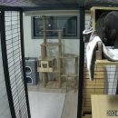 호텔이냥 이미지