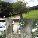 &lt;부산근교산행&gt; 사상팔경 운수모종의 백양산 운수사, 대웅전, 대웅보전, 삼성각, 용왕각, 종각, 요사체...