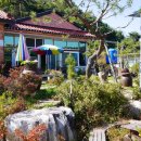 다솜차반 이미지