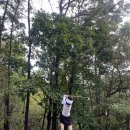 남부골프연습장 | 남부골프연습장 골린이 첫 파3(par3) 나인홀 도전 후기