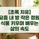 돈밤