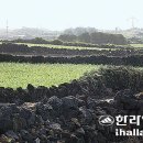 월정포인트 이미지