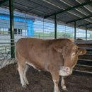 미혜농장 이미지