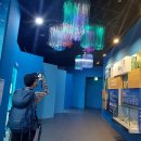 완도읍-4 이미지